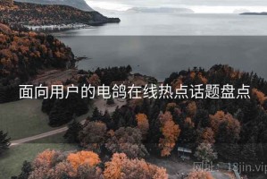 面向用户的电鸽在线热点话题盘点