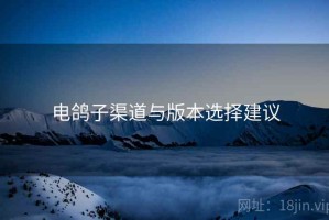 电鸽子渠道与版本选择建议