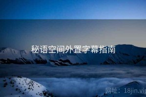 秘语空间外置字幕指南