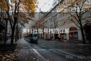 黑料社账号找回详解