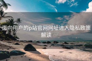 面向用户的p站官网网址进入隐私政策解读