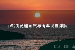 p站浏览器画质与码率设置详解