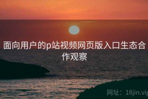 面向用户的p站视频网页版入口生态合作观察