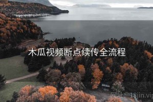 木瓜视频断点续传全流程