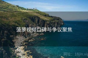 菠萝视频口碑与争议聚焦