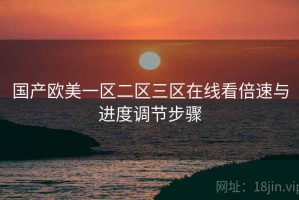 国产欧美一区二区三区在线看倍速与进度调节步骤