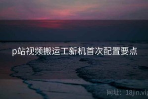 p站视频搬运工新机首次配置要点