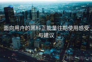 面向用户的黑料正能量往期使用感受与建议