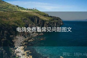 电鸽免费看常见问题图文