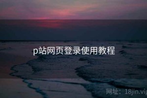 p站网页登录使用教程