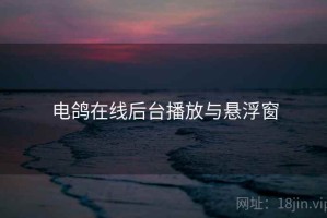 电鸽在线后台播放与悬浮窗