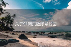 关于91网页版账号找回