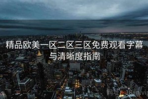 精品欧美一区二区三区免费观看字幕与清晰度指南