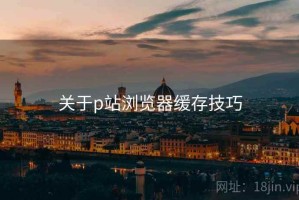 关于p站浏览器缓存技巧
