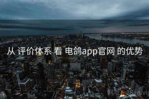 从 评价体系 看 电鸽app官网 的优势