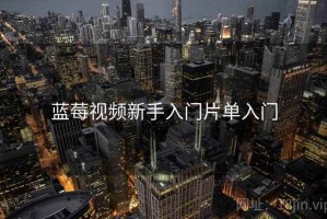 蓝莓视频新手入门片单入门