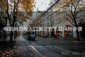 电鸽网页版入口第三方下载风险步骤