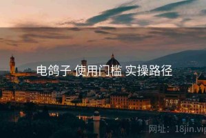 电鸽子 使用门槛 实操路径