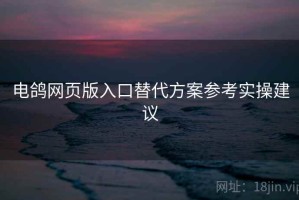 电鸽网页版入口替代方案参考实操建议
