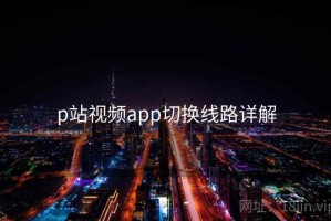 p站视频app切换线路详解