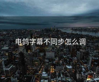 电鸽字幕不同步怎么调