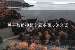 关于蓝莓视频字幕不同步怎么调