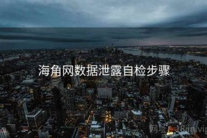 海角网数据泄露自检步骤