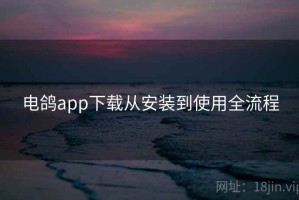 电鸽app下载从安装到使用全流程