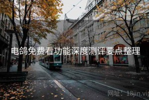 电鸽免费看功能深度测评要点整理