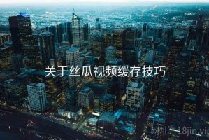 关于丝瓜视频缓存技巧