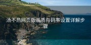 汤不热网页版画质与码率设置详解步骤