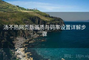 汤不热网页版画质与码率设置详解步骤