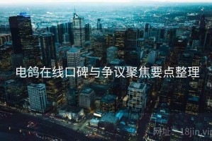 电鸽在线口碑与争议聚焦要点整理