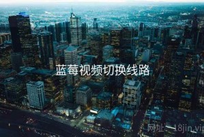 蓝莓视频切换线路