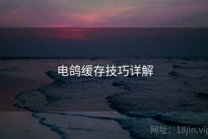 电鸽缓存技巧详解