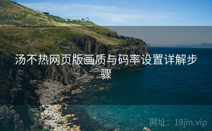 汤不热网页版画质与码率设置详解步骤