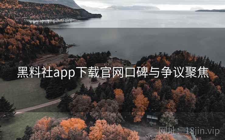 黑料社app下载官网口碑与争议聚焦