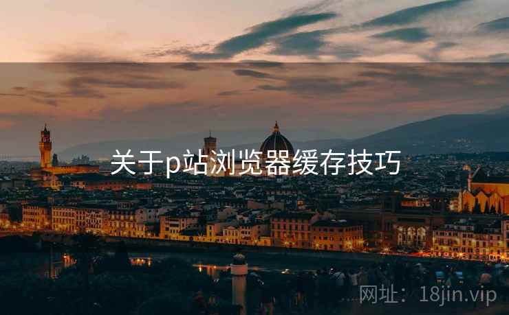 关于p站浏览器缓存技巧