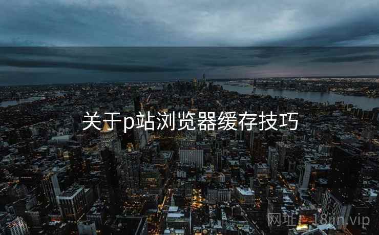 关于p站浏览器缓存技巧