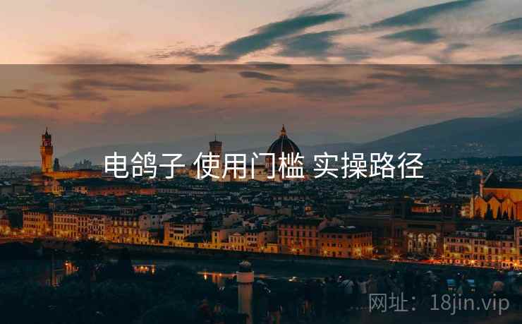 电鸽子 使用门槛 实操路径