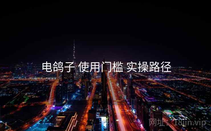 电鸽子 使用门槛 实操路径