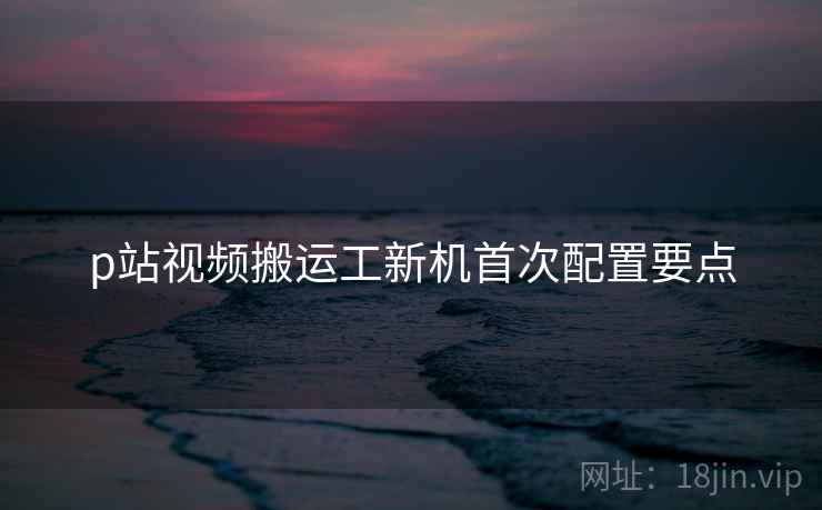 p站视频搬运工新机首次配置要点