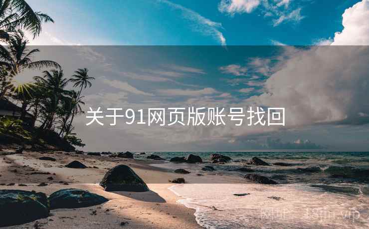 关于91网页版账号找回