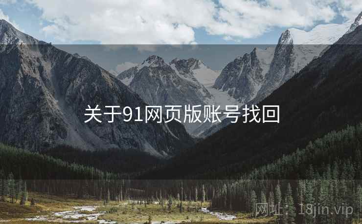 关于91网页版账号找回