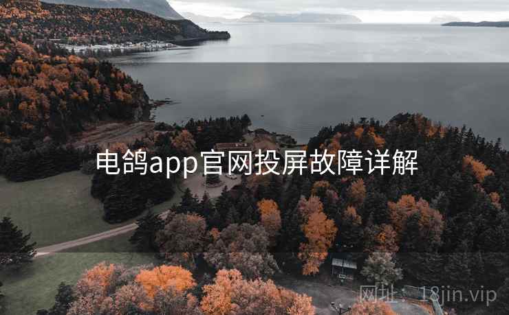 电鸽app官网投屏故障详解