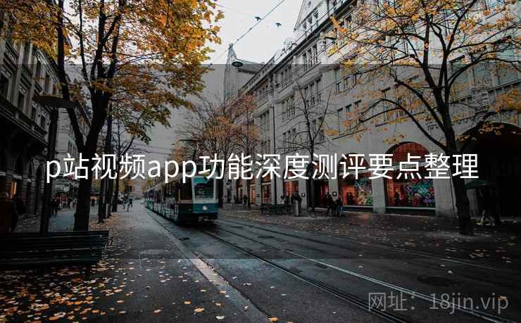 p站视频app功能深度测评要点整理