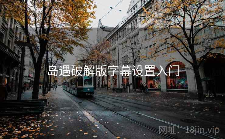 岛遇破解版字幕设置入门