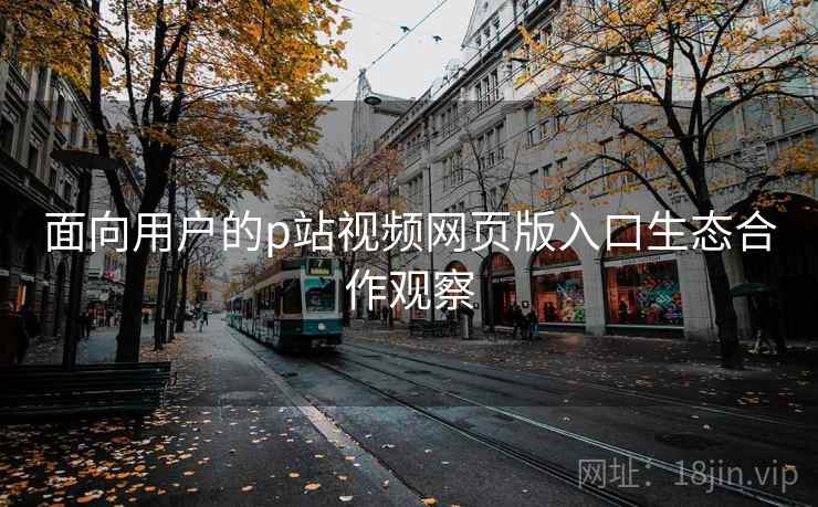 面向用户的p站视频网页版入口生态合作观察