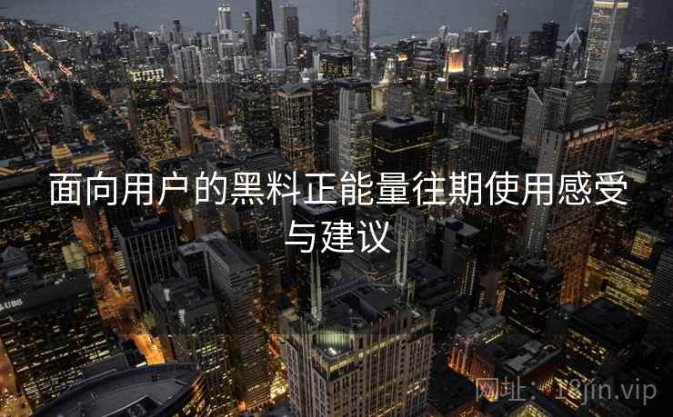 面向用户的黑料正能量往期使用感受与建议