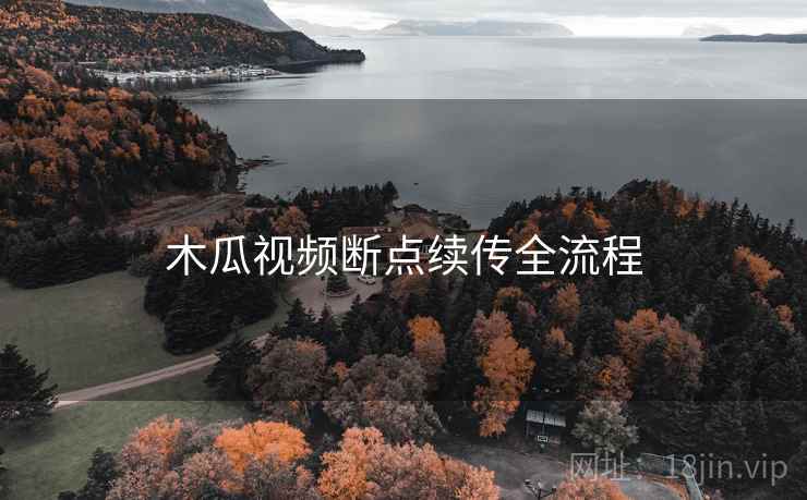木瓜视频断点续传全流程